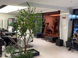 -付军剪艺JF ProSalon
