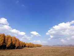 -塞罕坝国家级自然保护区