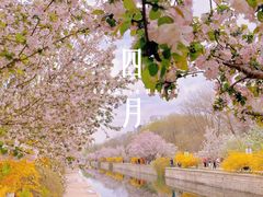 -海棠花溪(元大都城垣遗址公园)