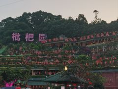 -枇杷园食为鲜火锅(南山店)
