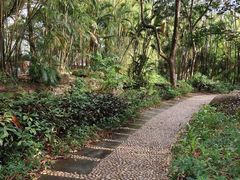 -燕晗山郊野公园