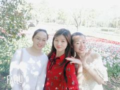 -上海鲜花港
