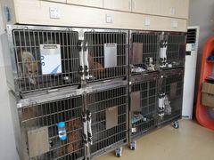-创凡宠物医院·骨专科  猫科中心(西乡分院)