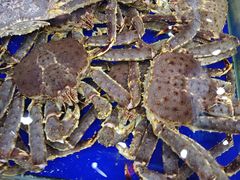 -渔民新村(番禺总店)