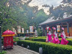 -白家大院·王府宫廷菜(苏州街店)