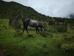 -兰州吐鲁沟国家森林公园