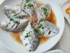 清蒸鲳鱼-阿莉餐厅(枣阳路店)