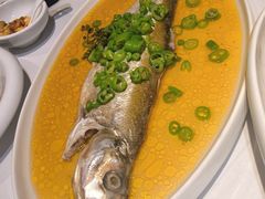 -月湖萃·上海菜(思南公馆淮海店)