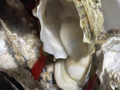 -嘎嘎鸭脑壳(驷马桥店)