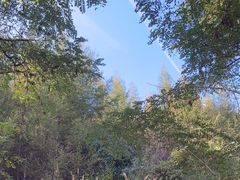 -九鼎铁刹山风景区