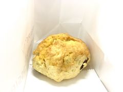 葡萄干司康-WHEN PIGS FLY当猪飞