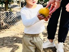 -前小桔亲子创意农场·草莓采摘·露营烧烤