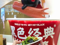-黑色经典臭豆腐·湖南特产(潇湘文化店)
