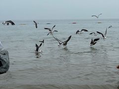 -那香海钻石沙滩浴场