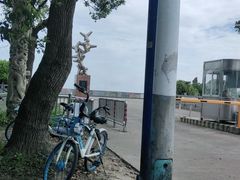 -奉贤海滩