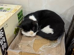 -华兴街自力面店