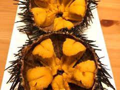 -海胆小馆(东北水饺·春柳店)