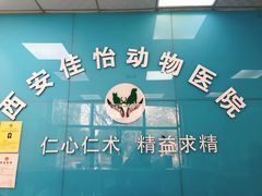 -佳怡动物医院·平价24小时·猫专科骨外科