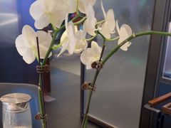 -蘇锦宴·淮扬菜烤鸭·小院(三元桥霄云路店)