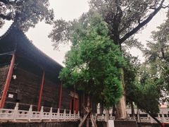 -关林