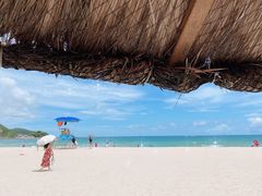 -墨脱石锅椰子鸡•香草鸭•东山羊(大东海店)