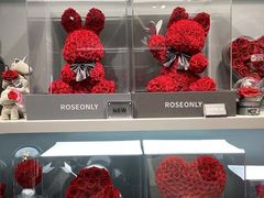 -ROSEONLY诺誓(国际广场购物中心店)