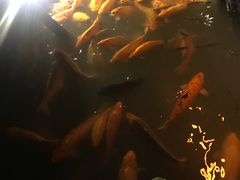 -75幢私房菜馆