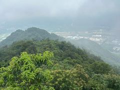 -羚羊峡古栈道森林公园