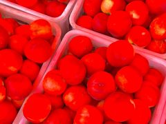 -大连果菜批发市场