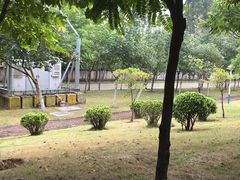 -怡海公园(桂城街道)