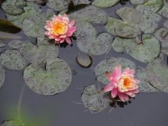 -青岛德国总督楼旧址博物馆