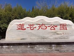 -莲花池公园