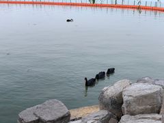 -天津东丽湖风景区