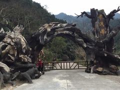 -龙湾潭国家森林公园