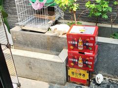 -庭院·冰煮羊·铜锅涮肉(西单店)