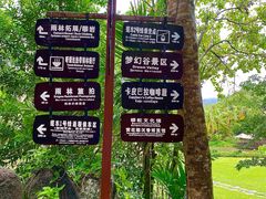 -呀诺达热带雨林
