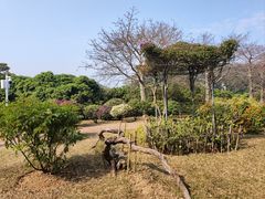-东莞植物园