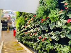 -Peet's Coffee皮爷咖啡(大学路店)