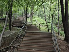 -沂蒙山旅游区云蒙景区(蒙山国家森林公园)