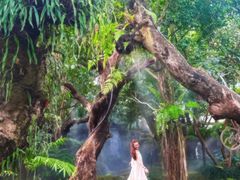 -Chom Cafe and Restaurant