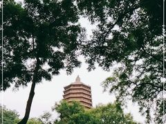 -玲珑塔公园