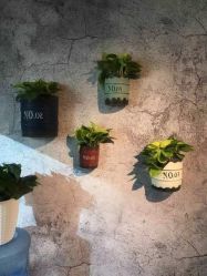 -和木形象