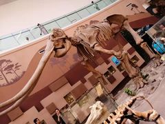 -陕西自然博物馆