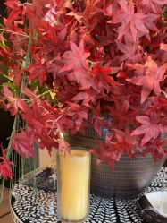 -RUMI日弥美容会所