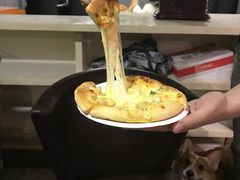 -百好乐宠物友好餐厅(朝外大街店)