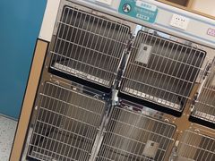 -瑞派康怡24h宠物医院·犬猫医疗中心·微创绝育(瑞景分院)