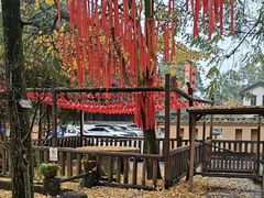 -土灶人家柴火鸡(都江堰店)