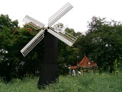 -晓港公园