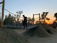 -上海长兴岛郊野公园