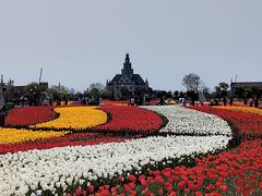-荷兰花海